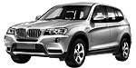 BMW F25 P2A10 Fault Code